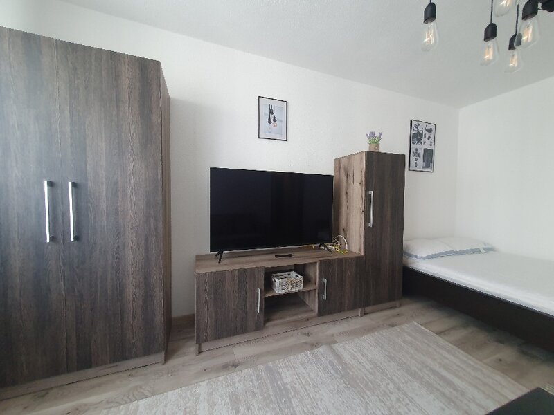 Titan Teodor Pallady Metrou 1 Decembrie